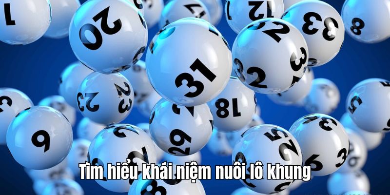 Tìm hiểu về khái niệm nuôi lô khung